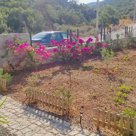Eylul House *